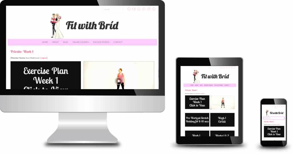 6-Week Online Post-Pregnancy Plan